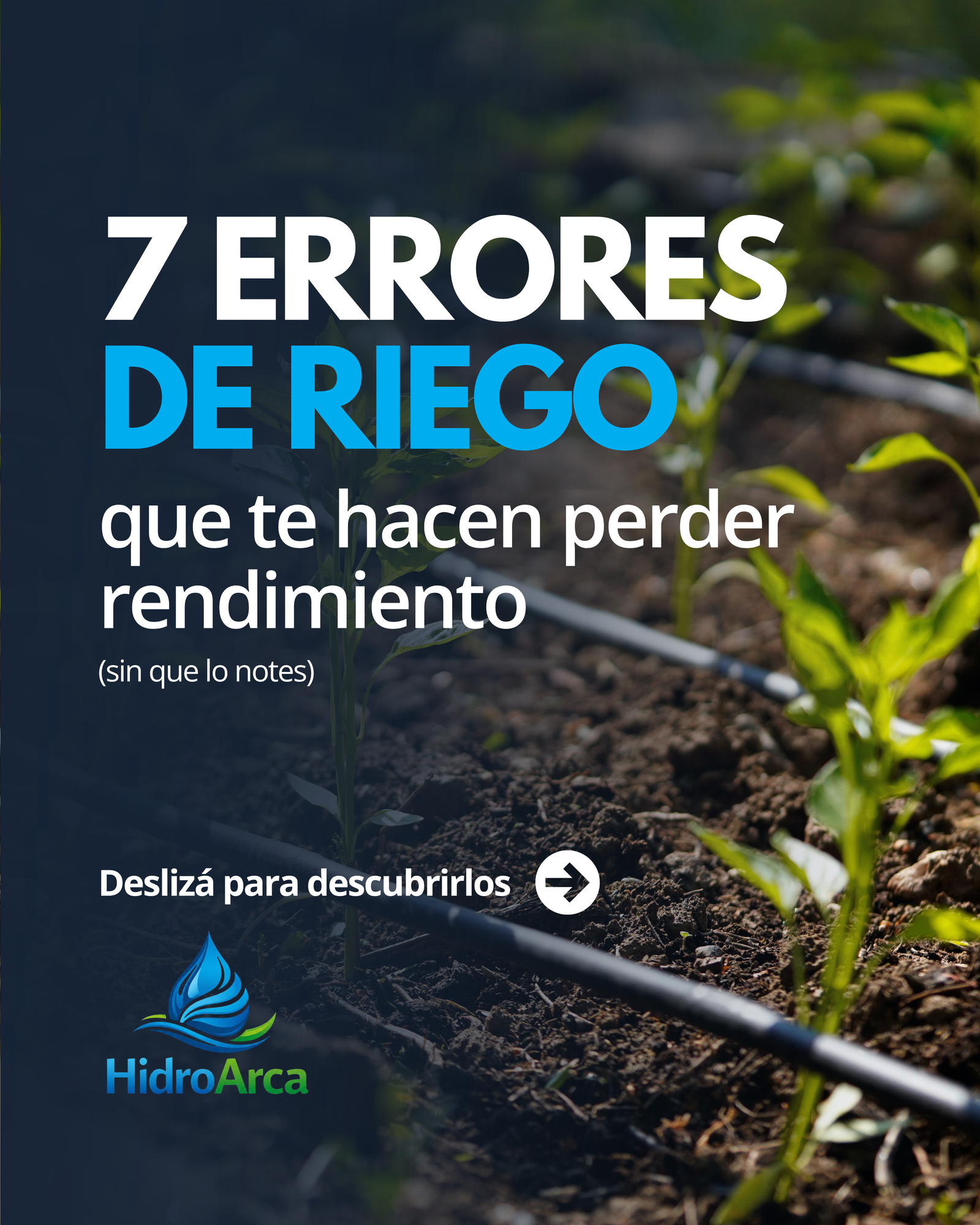Errores de riego por costumbre y no por necesidad