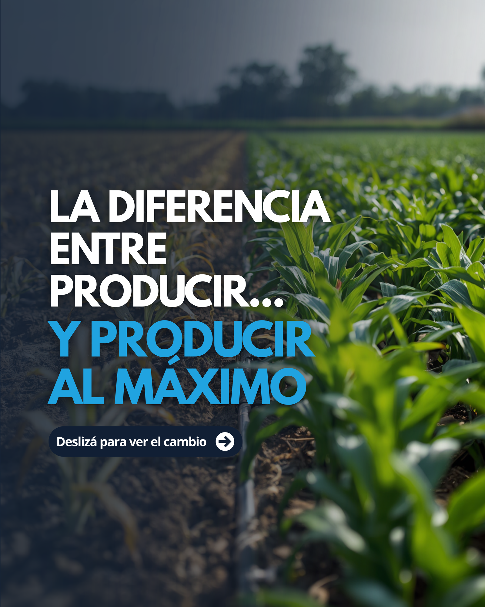 Presentación de HidroArca