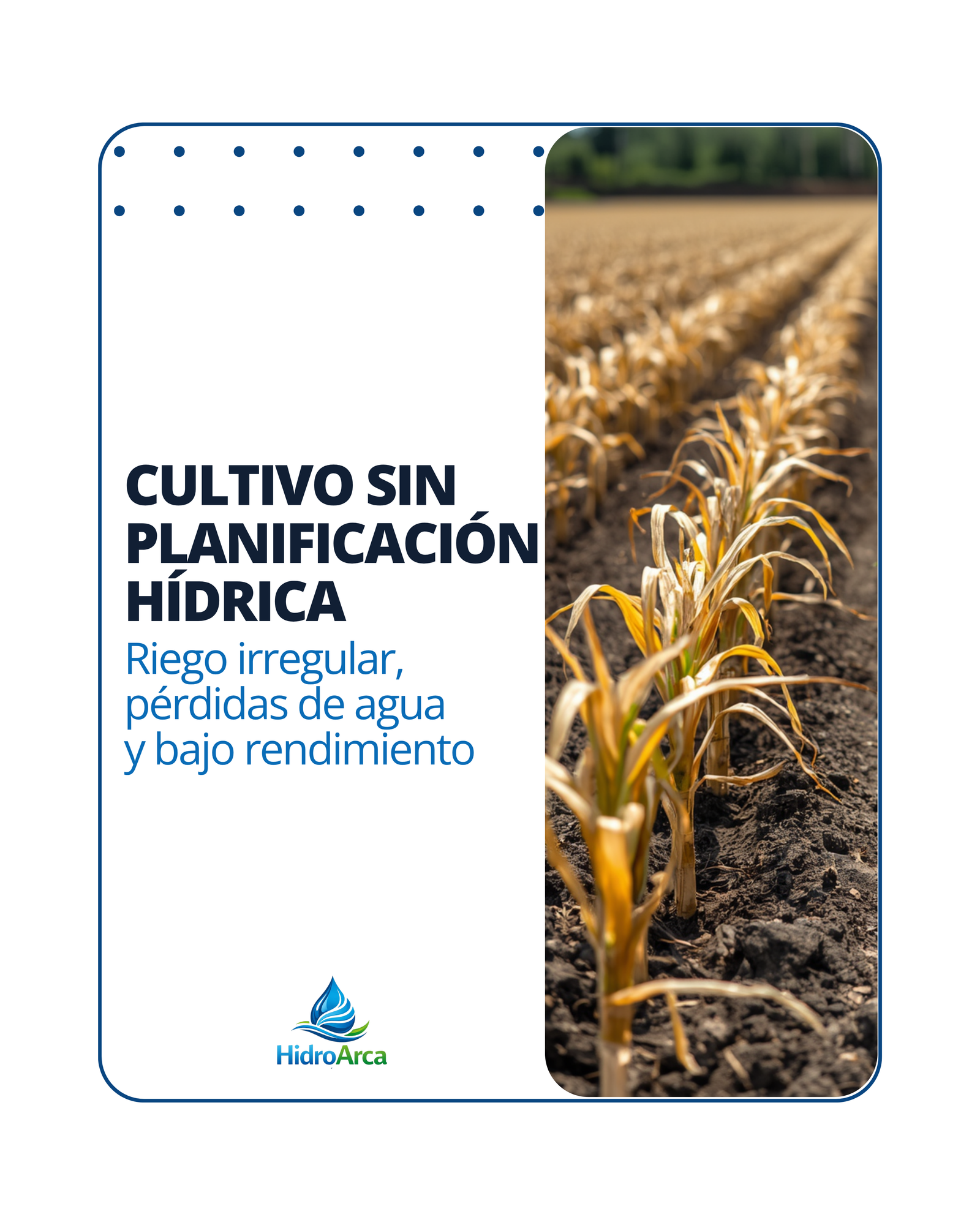Información institucional de HidroArca