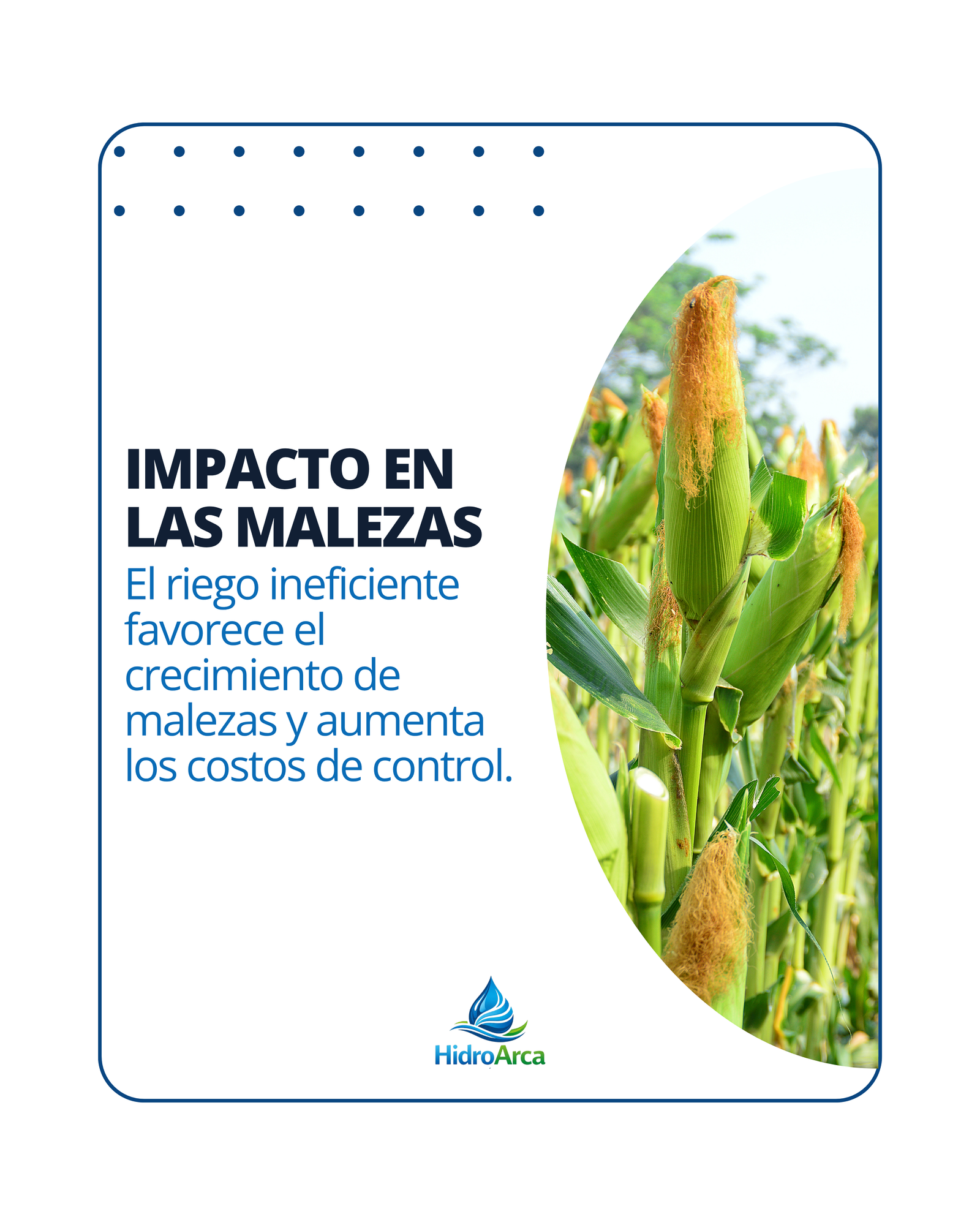 Sistemas y soluciones de riego HidroArca